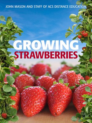 cover image of Growing Strawberries